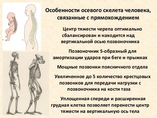 Простые выкройки платьев от Анастасии Корфиати Перелом кости руки симптомы, как разработать руку после